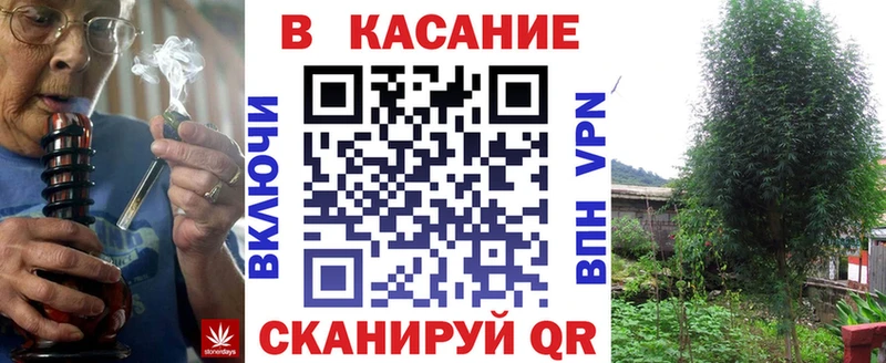 Псилоцибиновые грибы Каргат