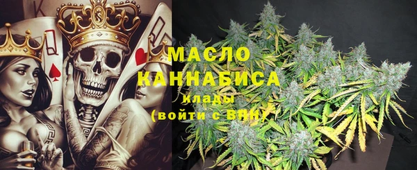 хмурый Алзамай