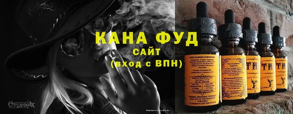 хмурый Алзамай
