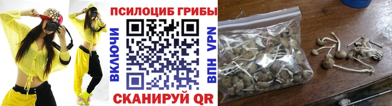 Галлюциногенные грибы MAGIC MUSHROOMS MEGA Каргат купить